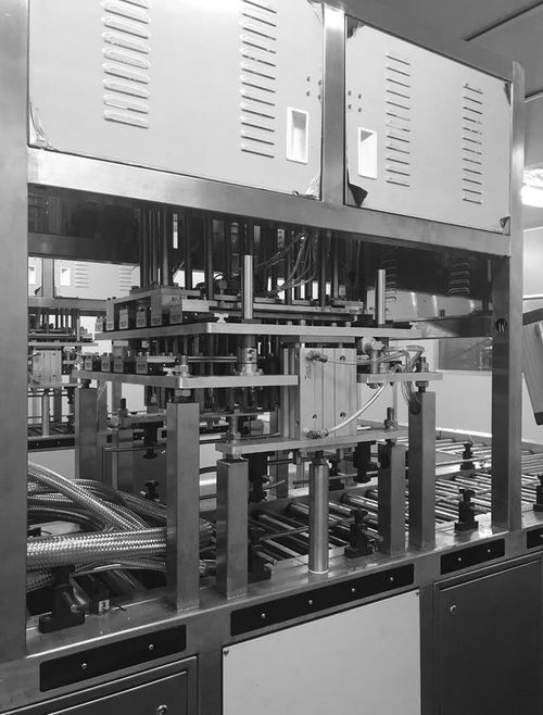 黑皮雞樅菌工廠化生產關鍵技術解析